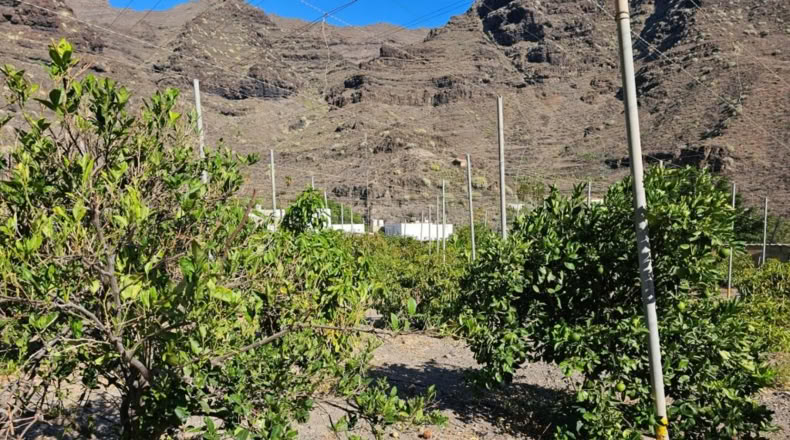 Las Palmas - Ла Альдеа де Сан Николас - 115m2