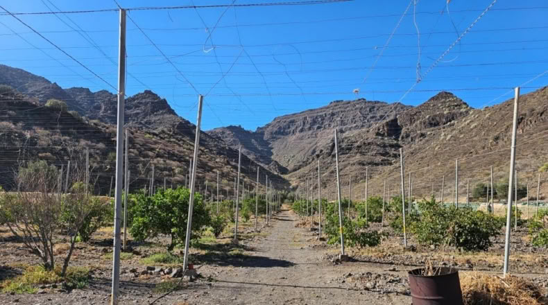 Las Palmas - Ла Альдеа де Сан Николас - 115m2