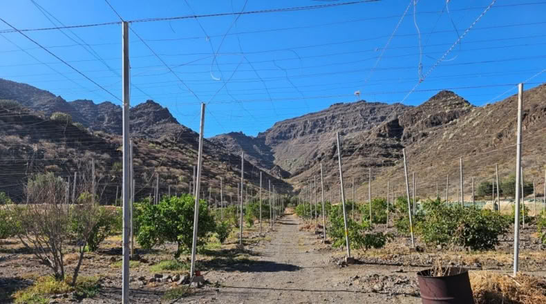 Las Palmas - Ла Альдеа де Сан Николас - 115m2