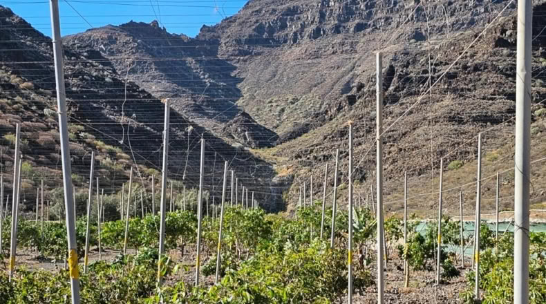 Las Palmas - Ла Альдеа де Сан Николас - 115m2