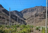 Masia amb terreny en venda a la ROSA, La Aldea de San Nicolás, ref.: TR394151 foto