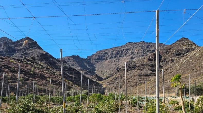 Las Palmas - Ла Альдеа де Сан Николас - 115m2