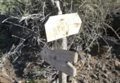 Masia amb terreny en venda a la ROSA, La Aldea de San Nicolás, ref.: TR394151 foto