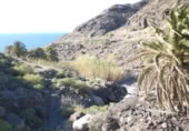 Masia amb terreny en venda a la ROSA, La Aldea de San Nicolás, ref.: TR394151 foto