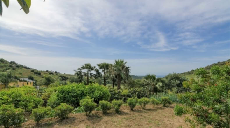 Малага - Estepona - 2946m2