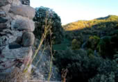 Casa amb terreny en venda a la Naens, Senterada, ref.: TR394128 foto