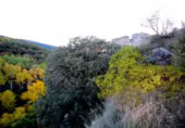 Casa amb terreny en venda a la Naens, Senterada, ref.: TR394128 foto
