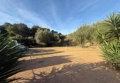 Casa de campo con terreno en venta en Pilar de la Horadada ref: TR394122 foto