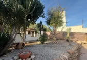 Casa de campo con terreno en venta en Pilar de la Horadada ref: TR394122 foto