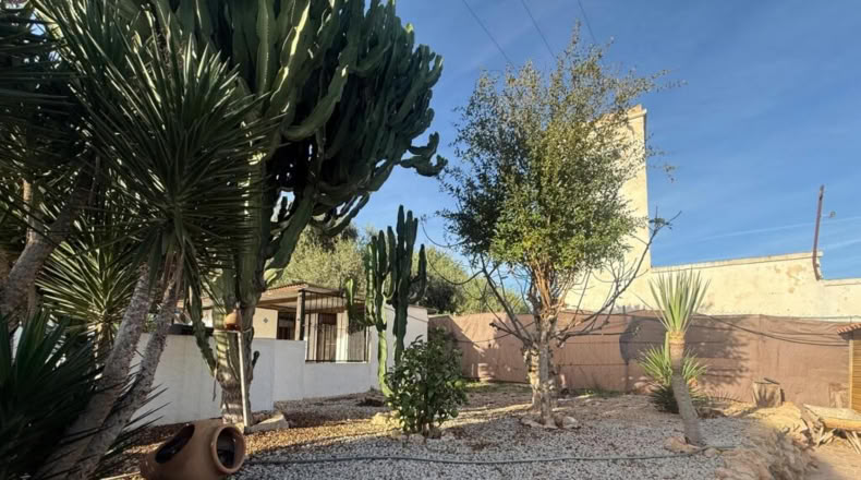 Alicante - Pilar de la Horadada - 145m2