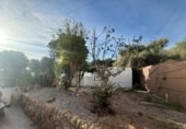 Casa de campo con terreno en venta en Pilar de la Horadada ref: TR394122 foto