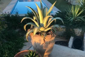 Foto 18