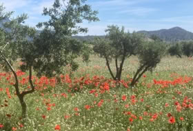 Foto 19
