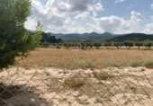 Masía con terreno en venta en Ricote ref: TR394113 foto