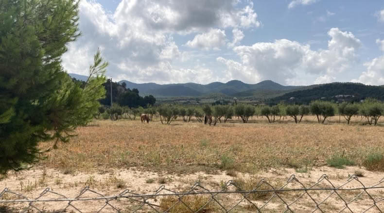 Murcia - Ricote - 184m2