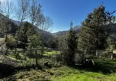 Casa de poble en venda a la la Collada, Trescares, ref.: TR394109 foto