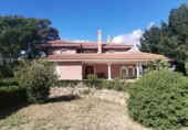 Xalet independent amb terreny en venda a Callosa de Segura ref.: TR394104 foto