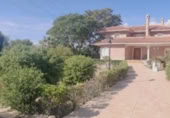 Xalet independent amb terreny en venda a Callosa de Segura ref.: TR394104 foto