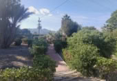 Xalet independent amb terreny en venda a Callosa de Segura ref.: TR394104 foto
