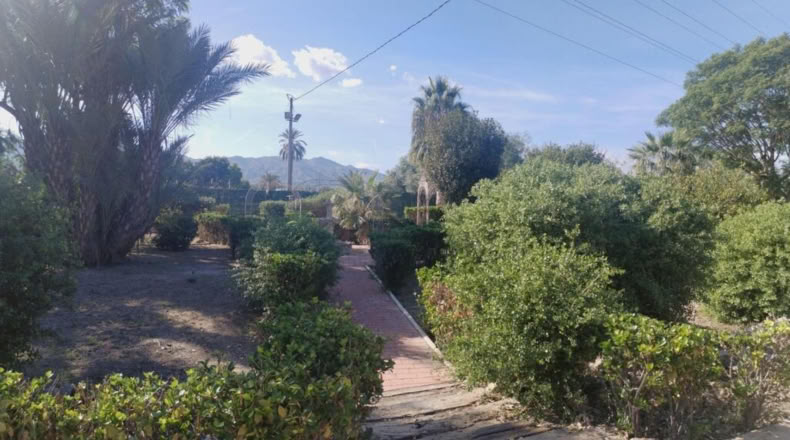 Alicante - Callosa de Segura - 513m2