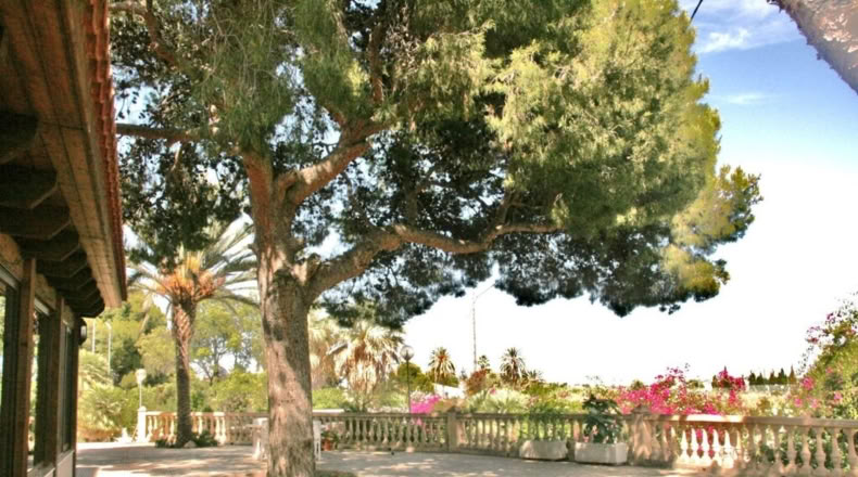 Alicante - Muchamiel - 444m2