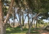 Chalet independiente con terreno en venta en Mutxamel ref: TR394103 foto