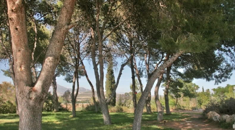 Alicante - Muchamiel - 444m2