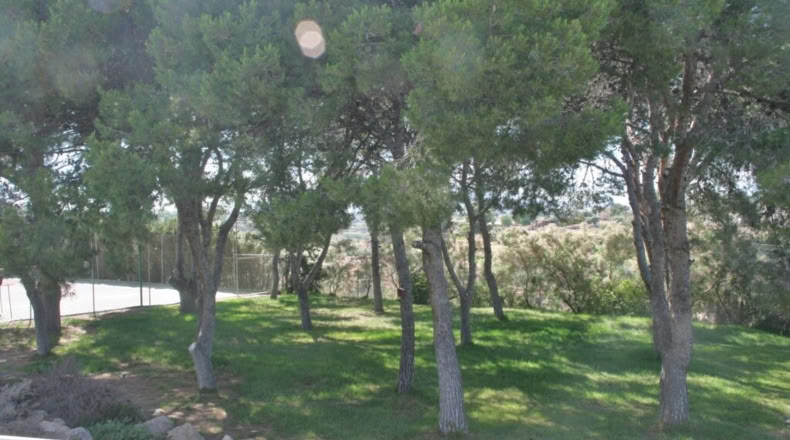 Alicante - Muchamiel - 444m2