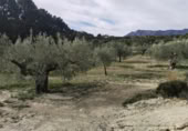 Vil·la amb terreny en venda a Relleu ref.: TR394098 foto