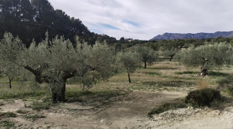 Alicante - Relleu - 329m2