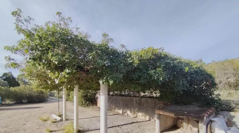 Alicante - Relleu - 329m2