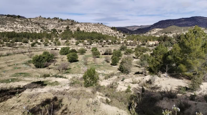 Alicante - Relleu - 329m2