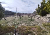 Vil·la amb terreny en venda a Relleu ref.: TR394097 foto