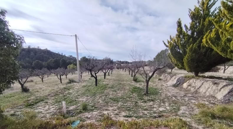 Alicante - Relleu - 237m2