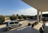Masía con terreno en venta en Dolores ref: TR394089 foto