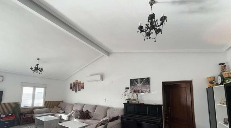 Alicante - Crevillent - 375m2