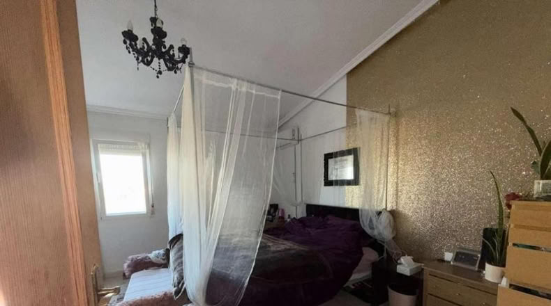 Alicante - Crevillent - 375m2