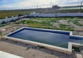 Masía con terreno en venta en Crevillente ref: TR394088 foto