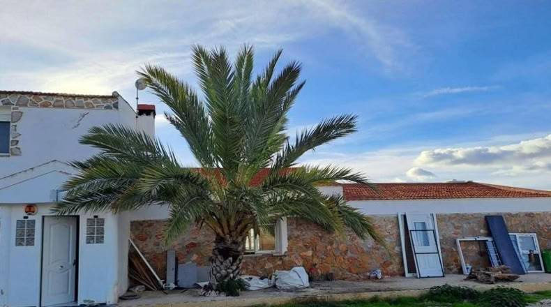 Alicante - Crevillent - 375m2