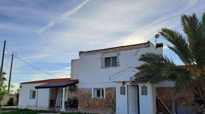 Alicante - Crevillent - 375m2