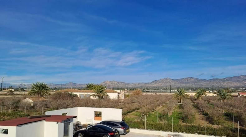 Alicante - Crevillent - 375m2