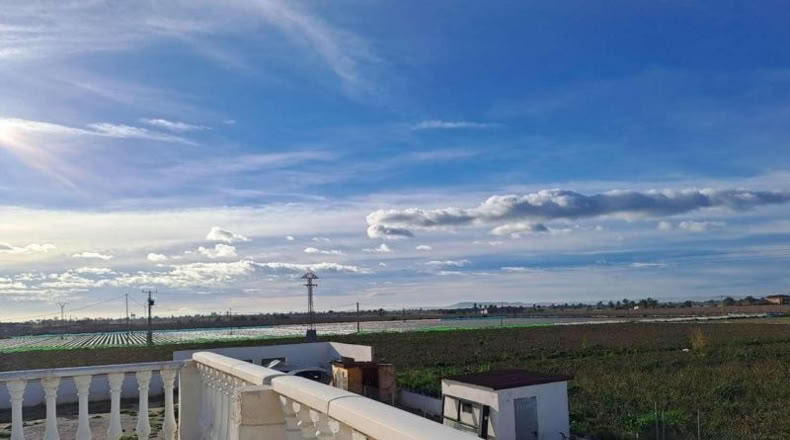 Alicante - Crevillent - 375m2