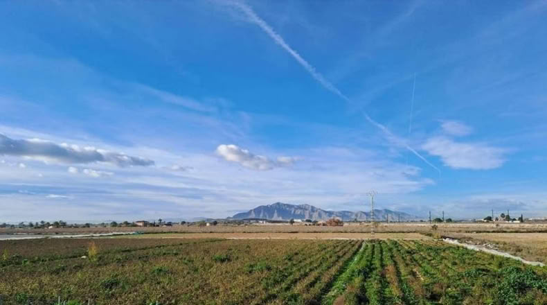 Alicante - Crevillent - 375m2