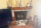 Masía con terreno en venta en Albatera ref: TR394086 foto