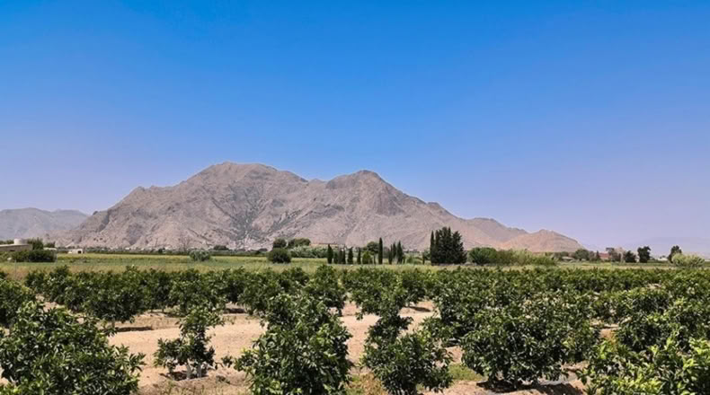 Alicante - Almoradí - 185m2