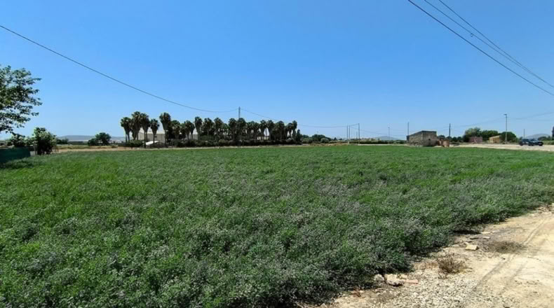 Alicante - Almoradí - 185m2