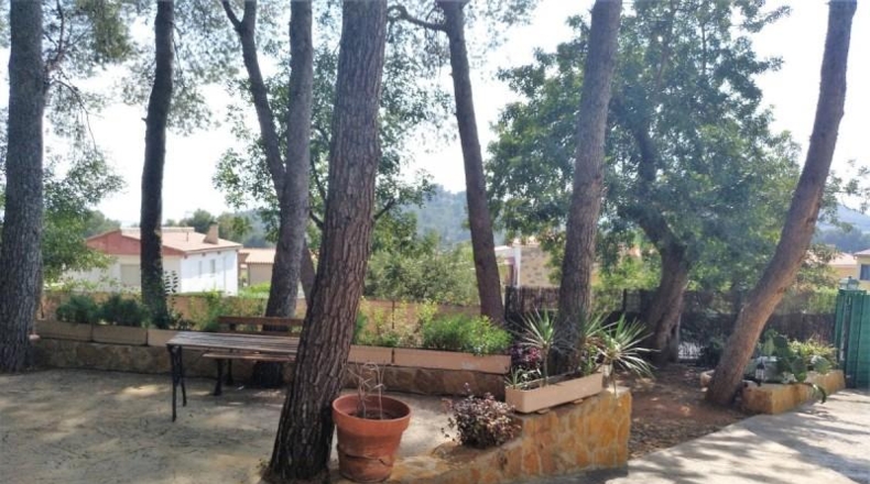 Castellón - Borriol - 7690m2