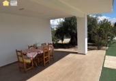 Detached villa with land for rent on España, Novelda, ref: TR400633 photo