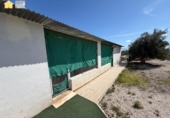 Detached villa with land for rent on España, Novelda, ref: TR400633 photo
