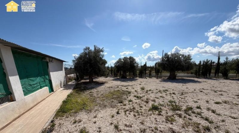Alicante - Novelda - 2000m2